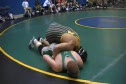 01 Hofmann Disney Duals