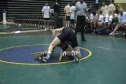 02 Hofmann Disney Duals