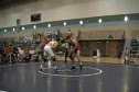 215 Joe Stefanski f N. Dawson (Premium Select), 4;20