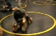 6_12_08 Practice Live Go 11