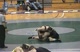 174 Semis: Miller (C Mich) Vs. Borschel (IA)