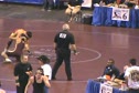 2009 CIF State Championships Shervin Iraniha (Monte Vista) vs Nazir Rasooli (Whitney) 135lbs