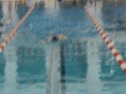 Chelsey Backstroke 2