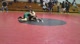 Dylan HJV v Sonoma