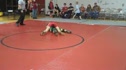 Emerson HJV v Montgomery