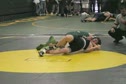 MOV029