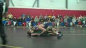 NC Duals TL Forest