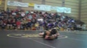 SCL Ian v Emmerson 2