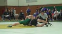 Video 13