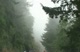 101 Fog