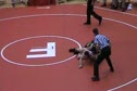 160- Murden (Fairfield) vs Rivera (Harrison)