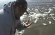 A Jelly on the PAC