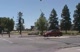 Cal Davis Car Tour