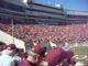 Calm Before the Frenzy