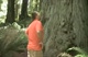 Chad Miller Estimates