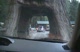 Drive Thru Tree