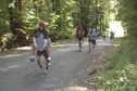 Edinboro Buddy Carries