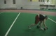 Finishing up Plate Pushes
