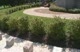 Hokie Stones