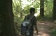 Ian Gets To See The Redwoods