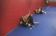Live Sparring Session I