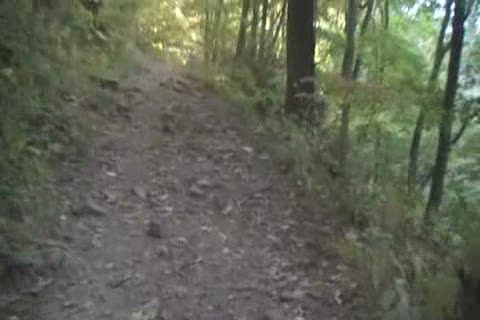 Cascade Trail