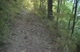 Cascade Trail