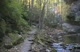 Finding the Falls