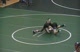  Cameron Ellis(Paine. Riverside) tech. fall Kyle Kramer(Beavercreek) 15-0