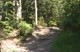 Trail Head @ MT. St. Helens