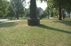The Herndon