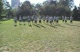 CSU Plyometrics