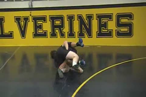 Michigan Live Goes