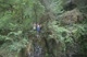 Zeb Lower Jump
