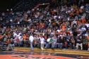 The crowd
