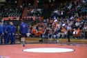 Intros-Broncos and Beavers