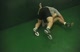 MSU Hard Drill
