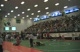 The Crowd Start of Session II