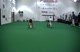 Mount Union Halloween Workout A Closer Look