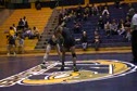 141 Weber UM VS Brown Newberry 