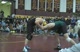 152lbs Nick Sulzer (St. Edward) VS Dave Habat (St. Ignatius OH) Semifinal