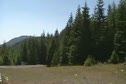 Mary's Peak Just Outside Corvallis