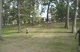 More Hill Sprints