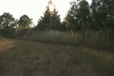 Nice View Bald Hill