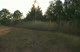 Nice View Bald Hill