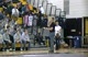 North Allegheny Tradition
