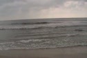 Zeb In Atlantic VA Beach