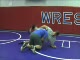 Takedown - double leg