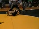 Miille vs SE Polk