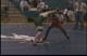 matt c v deerfield